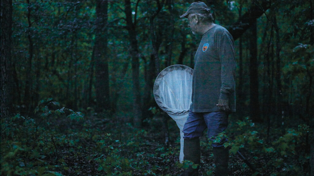 Clyde Sorenson searches for fireflies in the North Carolina forests. 