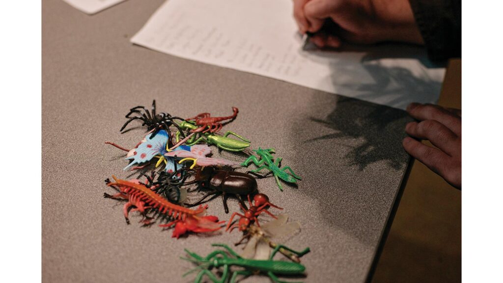 Clyde Sorenson uses plastic bugs in his entomology class.