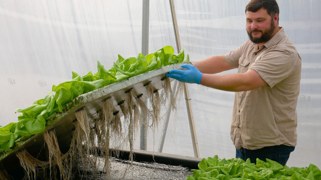 Ashton Thompson works at his job at Juneberry Ridge.