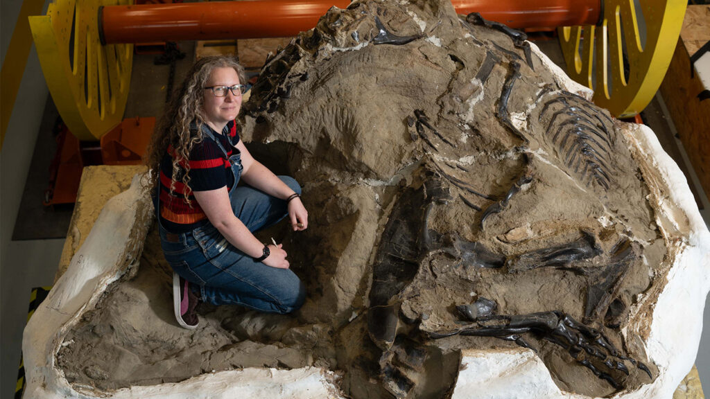 Histologist Jennifer Anné sits beside the tyrannosaur’s body.