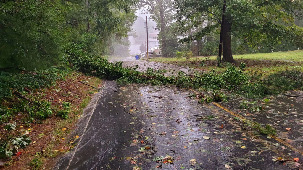 A downed tree blocks a secondary road in south Asheville. 