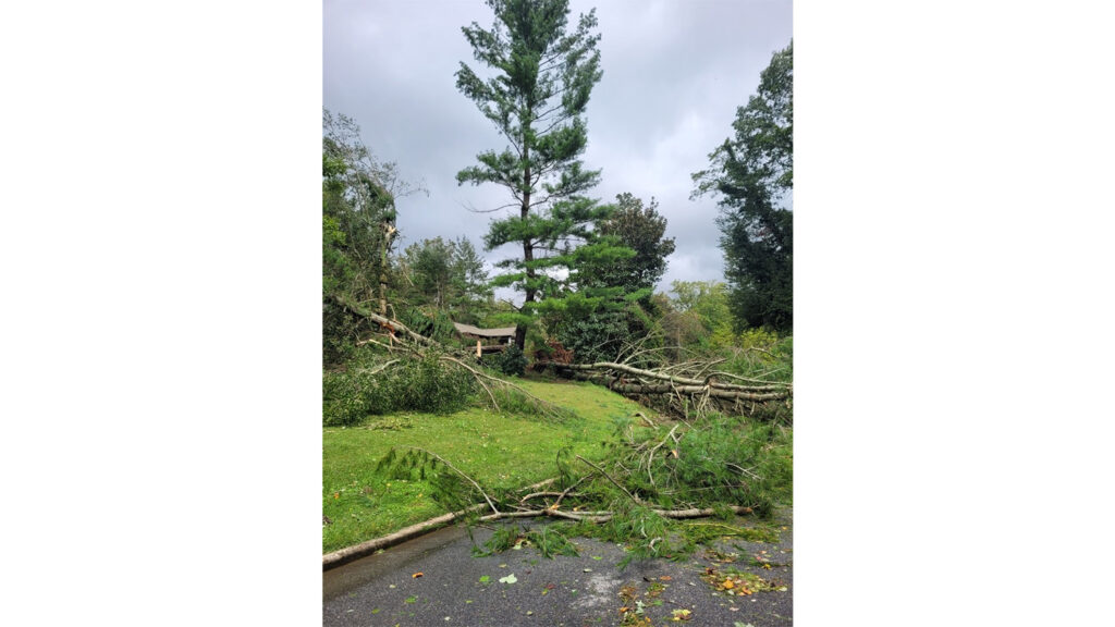 Tropical Storm Helene left downed trees around the Oak Forest neighborhood in south Asheville. 