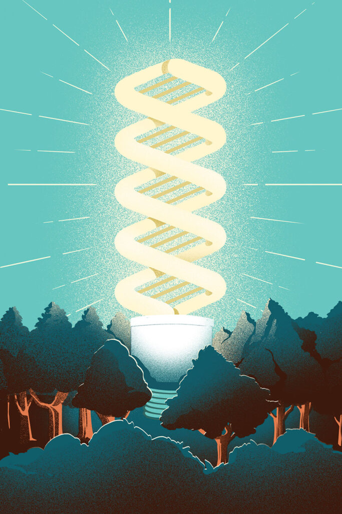 An illustrated lightbulb stands high above a forest of trees.