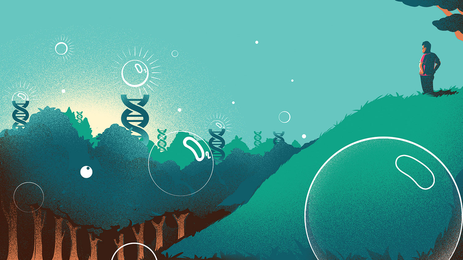 A researcher overlooks a forest changed by CRISPR.