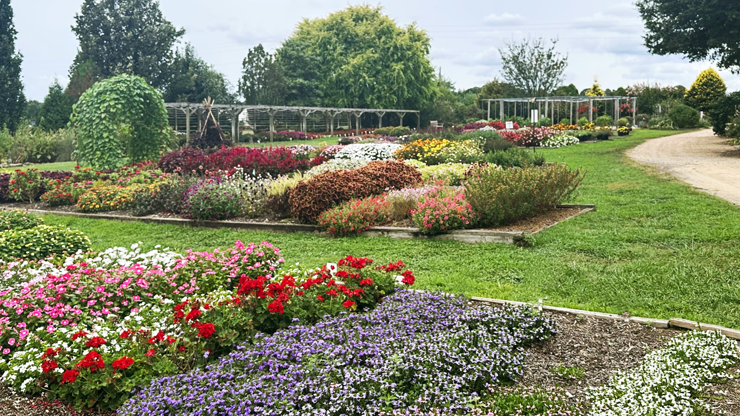 Flowers of varying sizes and colors are planted in neatly kept beds.