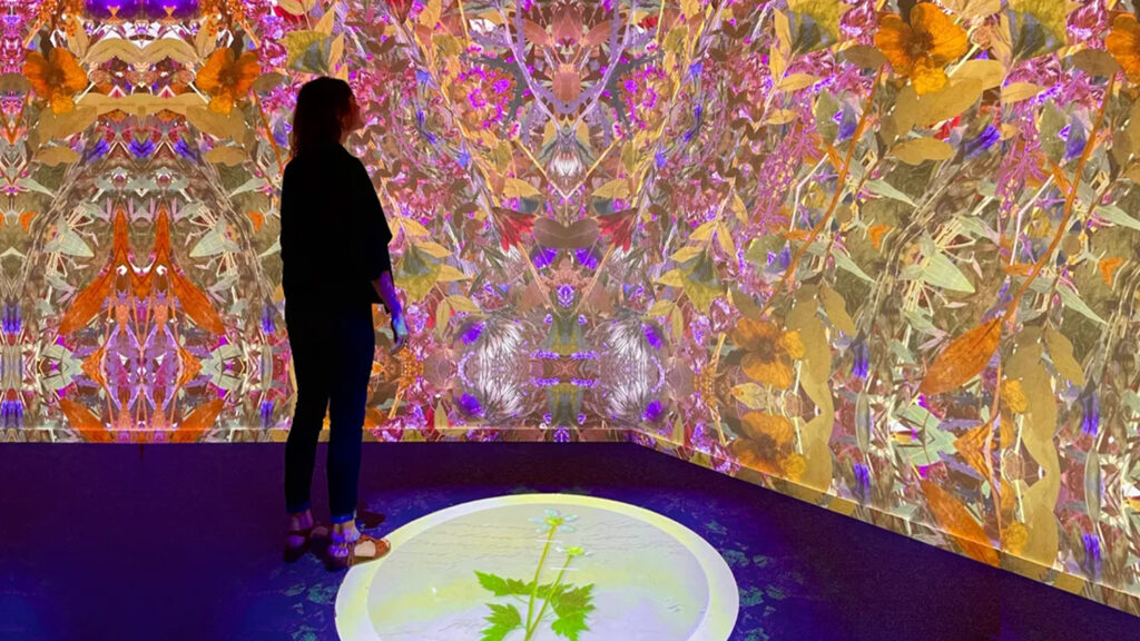 A user takes in the immersive experience of flowers moving all around them in the exhibit In Search of Thoreau's Flowers.